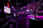 Disco60 Vegas Club